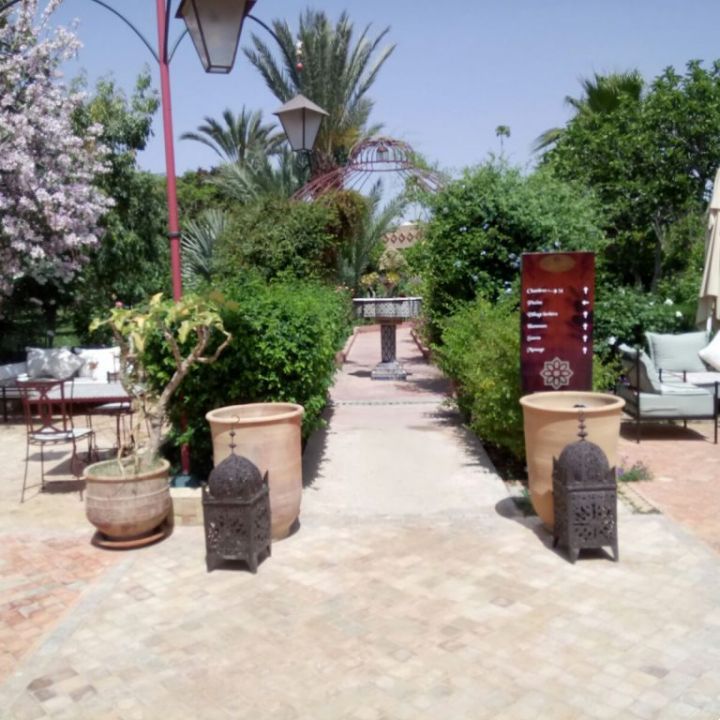 Gallery 11