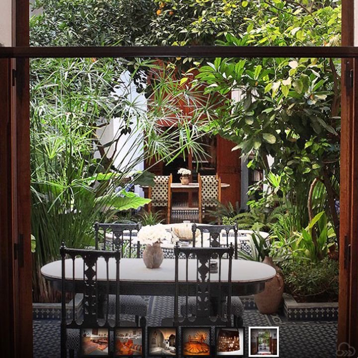 Gallery 11