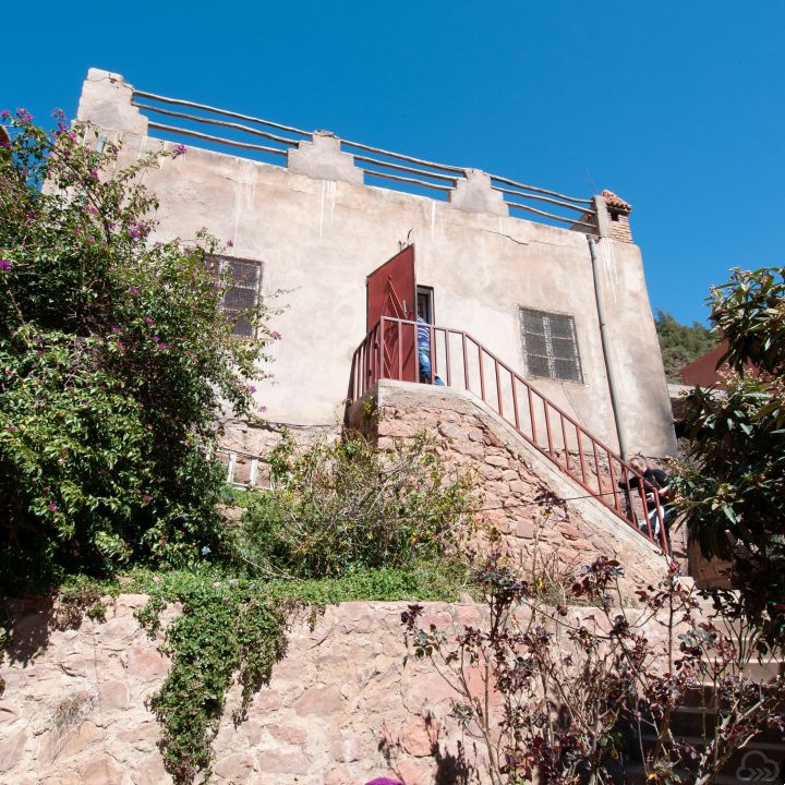Gallery 11