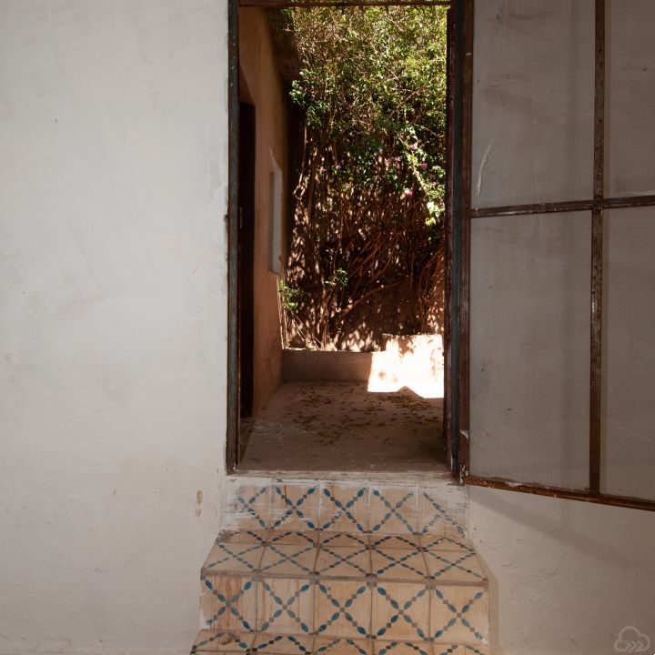 Gallery 19