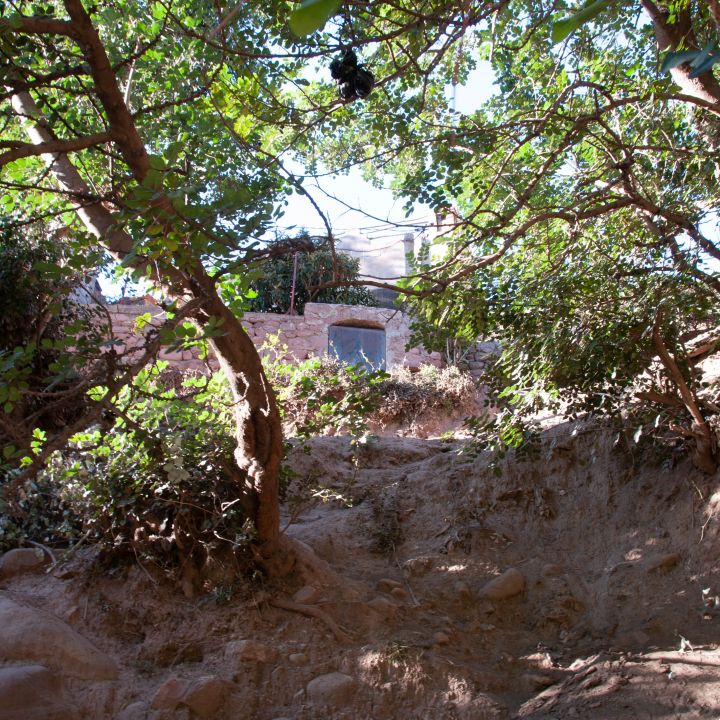 Gallery 3